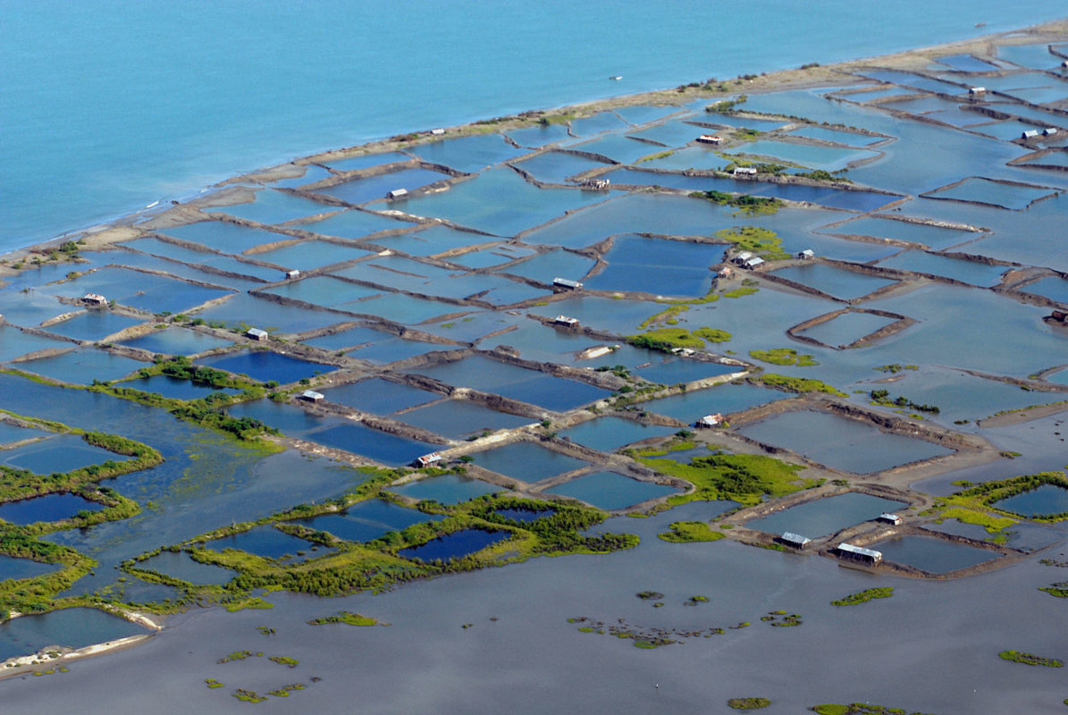 “A Fight to the Death”: Small Island States and Climate Change – USGLC