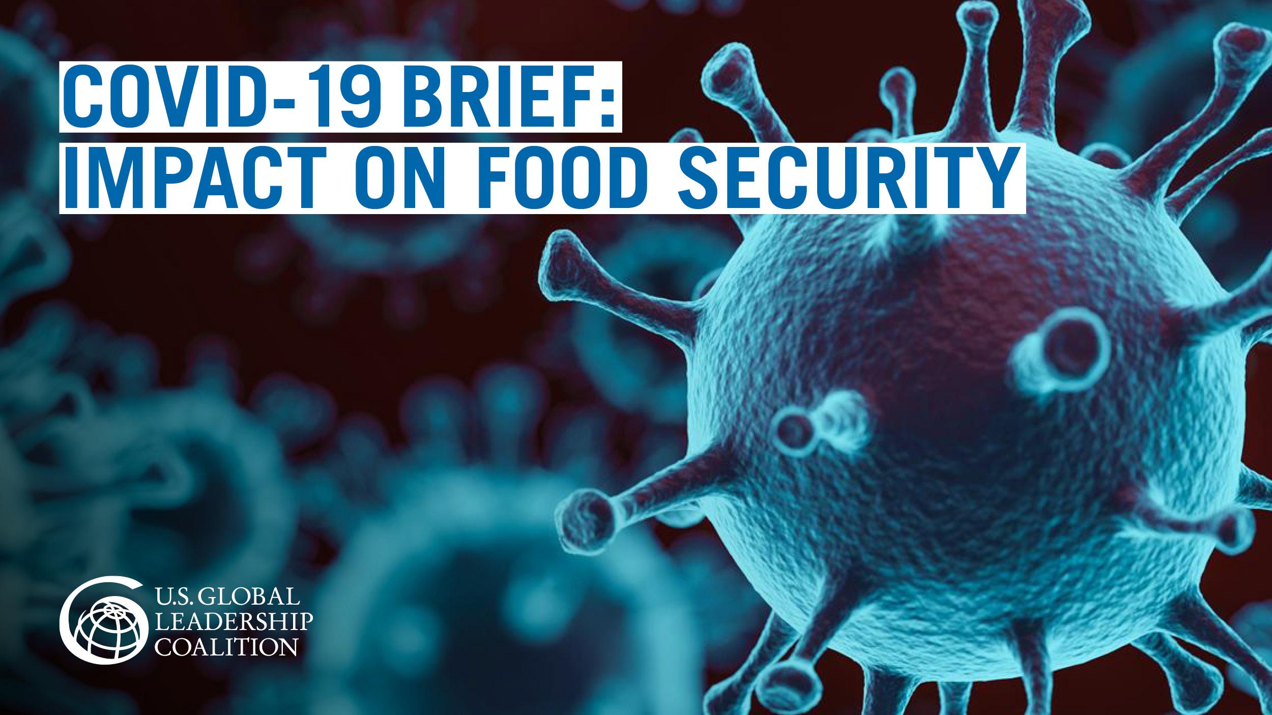 COVID-19 Brief: Impact on Food Security – USGLC